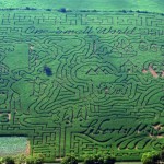 Corn Maze Season