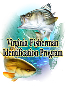 fip_logo