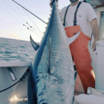 Tuna Out of Oregon Inlet