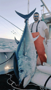 tuna