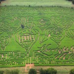 An Amazing Maze