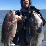 Tautog and Drum