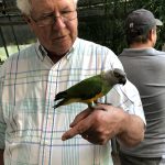 Project Perry: A Parrot Sanctuary