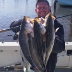 Game On for Speckled Trout