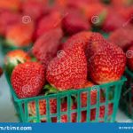 The Strawberry Packer