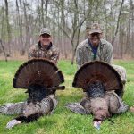 Louisa County Turkeys