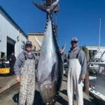 Huge Bluefins off Oregon Inlet