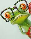 A Near Sighted Frog