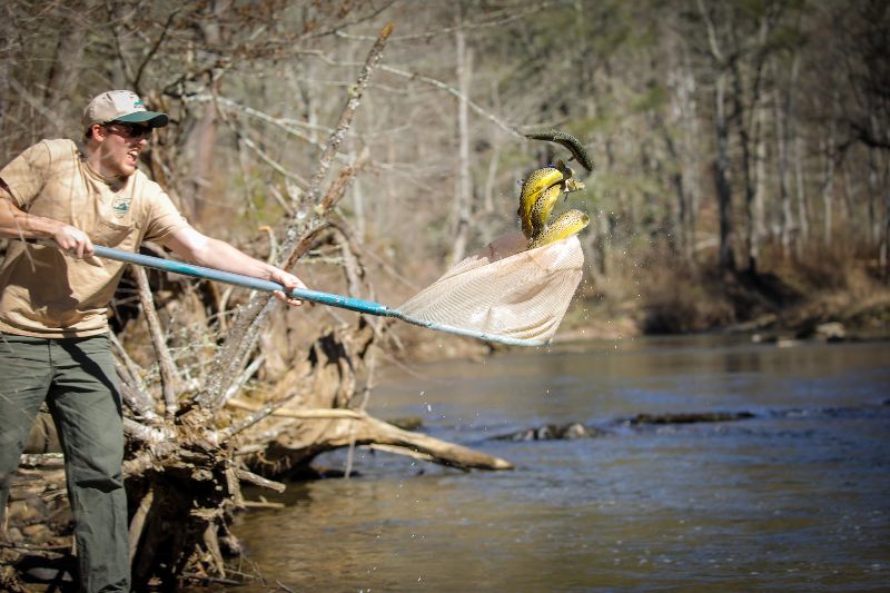 Trout Heritage Waters for 2023