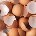 Save Those Eggshells