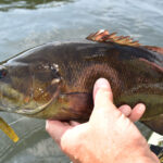 Catching Coldwater Smallmouth