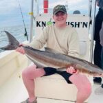 Here Come the Cobia