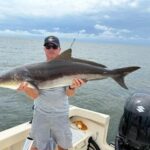 Cobia are Making News